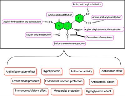 Research progress of quercetin in cardiovascular disease